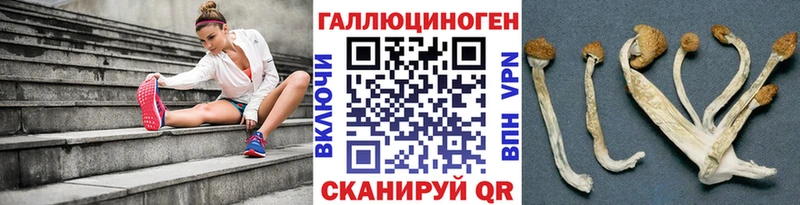 OMG   Ногинск  Галлюциногенные грибы ЛСД 