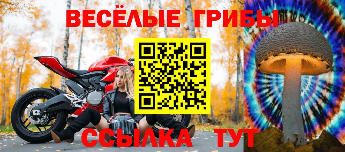 Псилоцибиновые грибы мухоморы  Галлюциногенные грибы MAGIC MUSHROOMS  Ногинск  Вход с VPN 